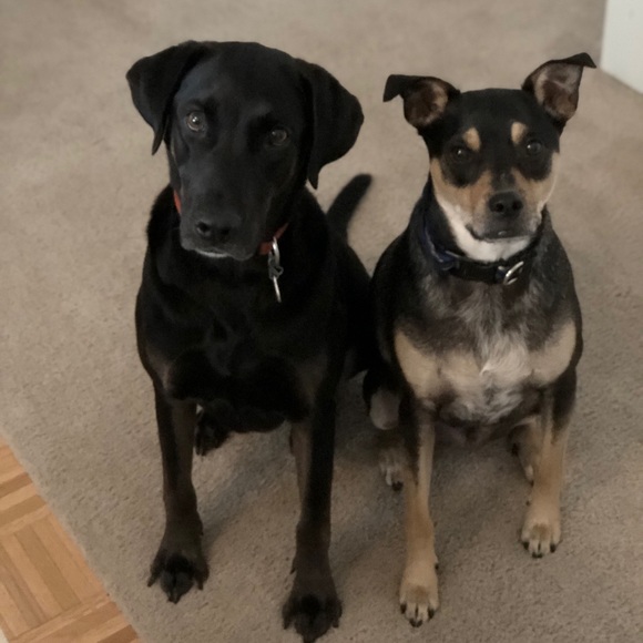 Hi, I’m Christine 👋 - Picture 4 of 4